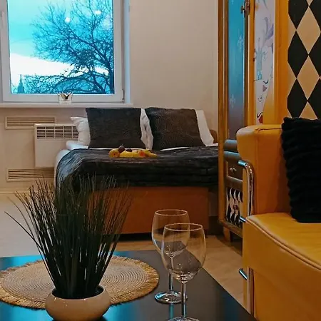 Center Cozy Studio Apartment